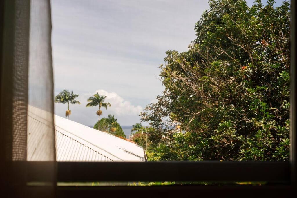 New Paddler'S Inn- 3Br Hilo Downtown Εξωτερικό φωτογραφία